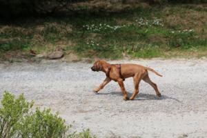 2018 Ausbildungswoche Arber